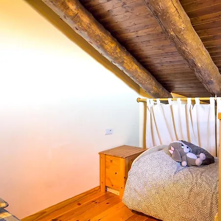 Pleta Puigmal Cerdanya Tatil Evi *