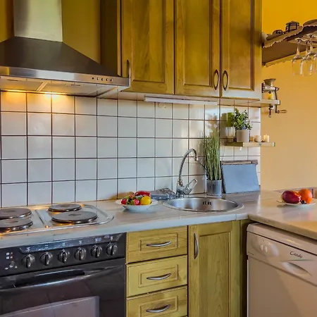 Pleta Puigmal Cerdanya Holiday home Sainte-Leocadie
